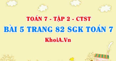 Bài 5 trang 82 SGK Toán 7 Tập 2 Chân trời sáng tạo